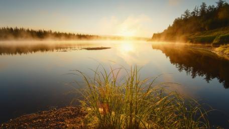 Serene Sunrise Over Misty Lake wallpaper
