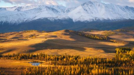 Majestic Mountains and Golden Meadows wallpaper