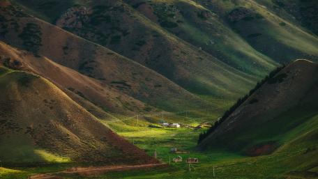 Serene Green Hills Under Soft Light wallpaper