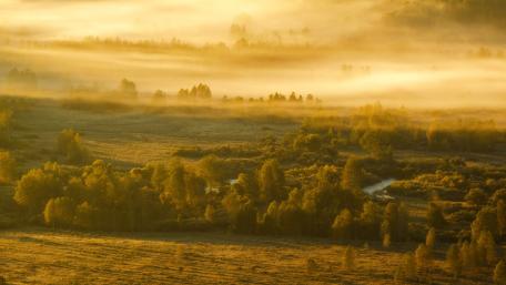 Golden Morning Mist Over Forests and Fields wallpaper
