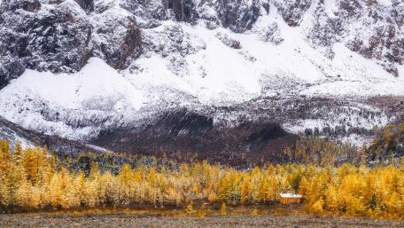 Golden Autumn in a Snowy Landscape wallpaper
