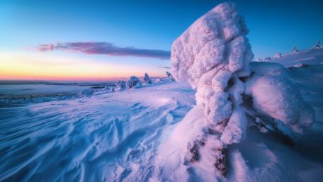 Frozen Serenity in Winter Landscape wallpaper