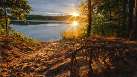 Tranquil Sunset by the Lake wallpaper