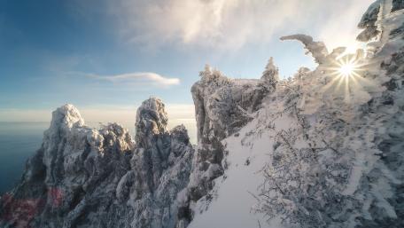 Frozen Majesty in Winter Landscape wallpaper