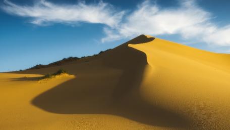 Golden Dunes Under a Clear Sky wallpaper