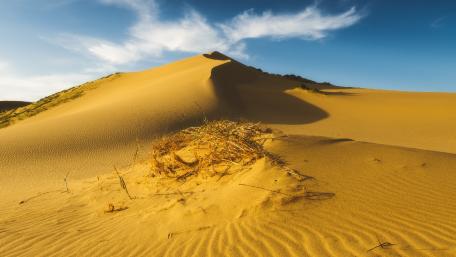 Golden Dunes Under a Vast Sky wallpaper