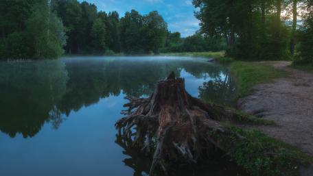 Tranquil Morning by the Water wallpaper