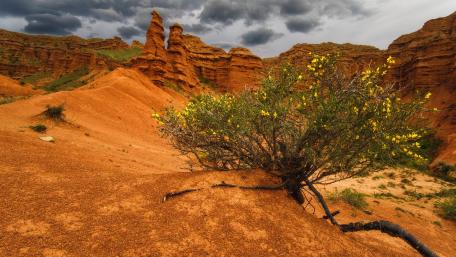 Majestic Desert Landscape Under Dramatic Sky wallpaper