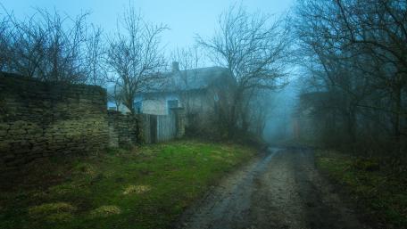 Mysterious Foggy Pathway Through Nature wallpaper