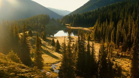 Serene Mountain Landscape with Lush Forests and Tranquil Waters wallpaper