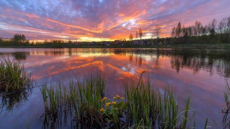 Serene Sunset Over Tranquil Waters wallpaper