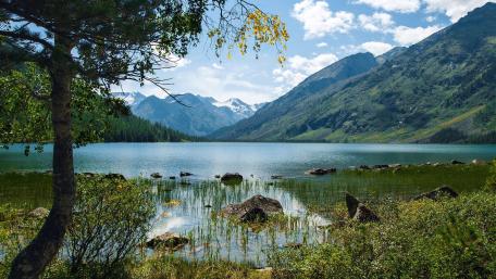 Serene Mountain Lake Amidst Lush Nature wallpaper