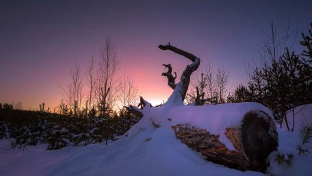 Winter Tranquility at Dusk wallpaper