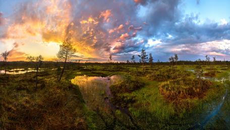 Serene Sunset Over Wetlands Landscape wallpaper