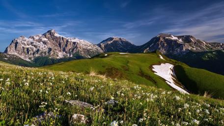 Majestic Mountain Landscape with Wildflowers and Snow wallpaper