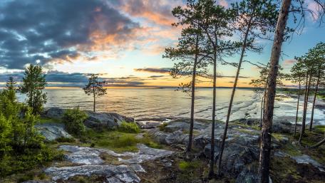 Serene Sunset Over Tranquil Waters and Trees wallpaper