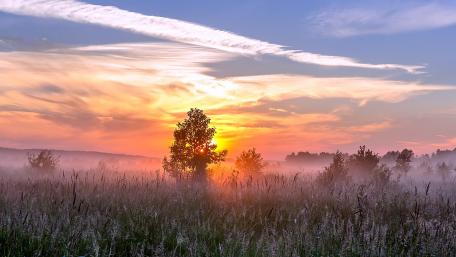 Serene Sunset Over Misty Fields wallpaper