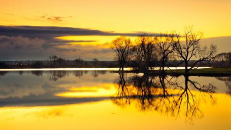 Golden Sunset Reflections on Tranquil Waters wallpaper