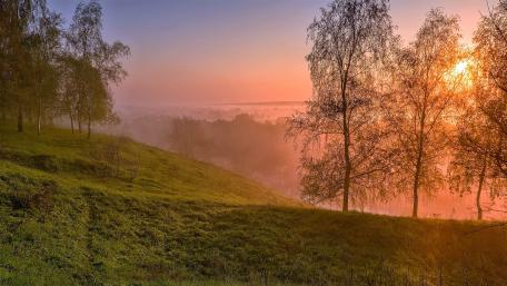 Serene Misty Sunrise Over Rolling Hills wallpaper