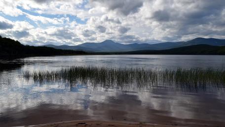 Serene Reflections in Nature's Embrace wallpaper