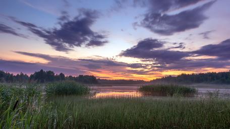 Serene Sunset Over Tranquil Wetlands wallpaper