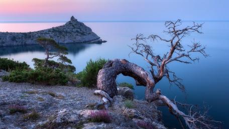 Serene Coastal Landscape at Dusk wallpaper