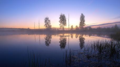 Tranquil Reflections at Dawn wallpaper