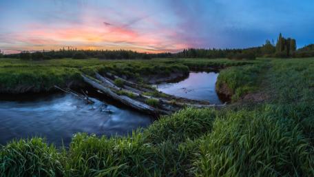 Tranquil Evening by the Riverbank wallpaper
