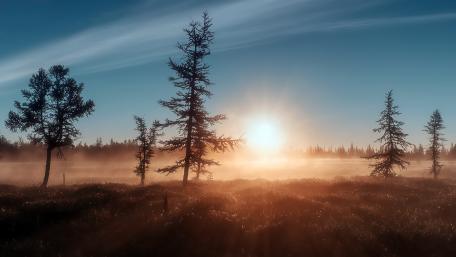 Golden Sunrise over Misty Landscape wallpaper