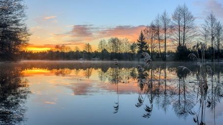 Serene Sunset Reflections Over Tranquil Water wallpaper