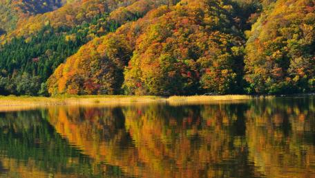 Vibrant Autumn Reflections in Nature's Serenity wallpaper