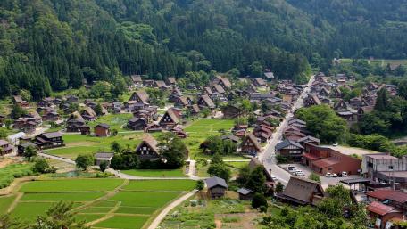 Tranquil Village Surrounded by Lush Greenery wallpaper