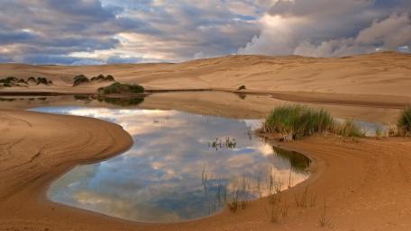 Serene Reflections in a Desert Oasis wallpaper