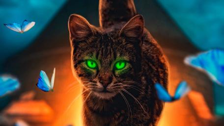 Mystical Feline Amidst Luminous Butterflies wallpaper