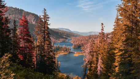 Inyo National Forest wallpaper