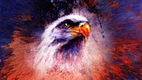 Majestic Eagle in Vibrant Colors wallpaper