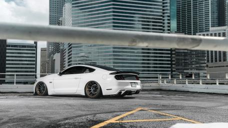 Sleek White Mustang in Urban Setting wallpaper