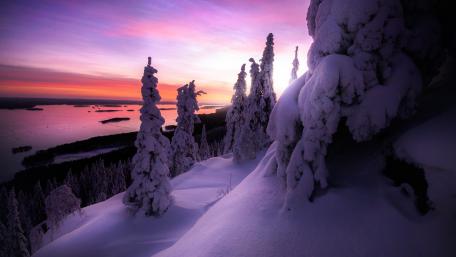 Majestic Winter's Twilight Scene wallpaper