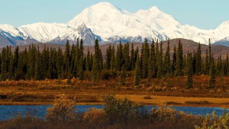 Majestic Mountain Landscape with Lush Forests and Reflections wallpaper