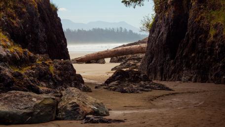 Serene Beach Escape in Nature's Embrace wallpaper