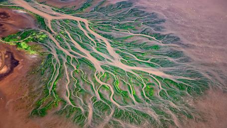 Nature's Intricate River Patterns Reflecting Serenity and Life wallpaper