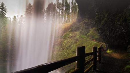 Majestic Waterfall Cascading Through Lush Forest wallpaper