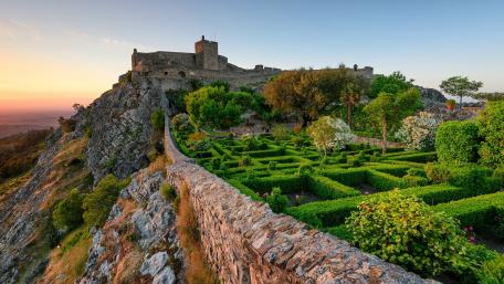 Majestic Castle Nestled Among Lush Gardens wallpaper