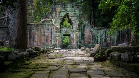 Ancient Pathways Through a Forgotten City wallpaper