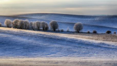 Serene Winter Landscape with Frosted Trees wallpaper