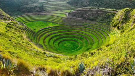 Majestic Circular Terraces of Nature's Artistry wallpaper