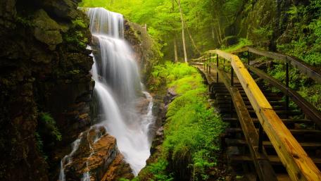 Tranquil Waterfall Amidst Lush Greenery wallpaper