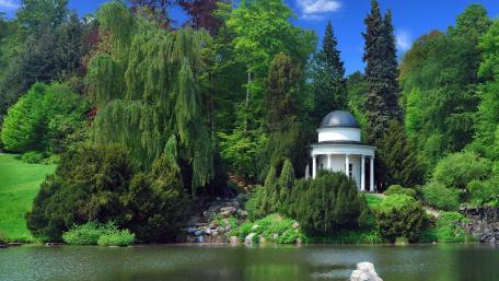 Serene Garden by the Lake wallpaper