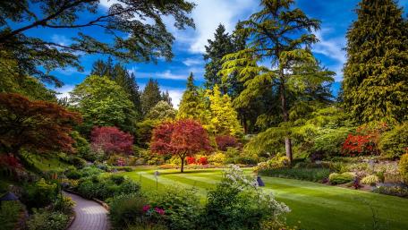 Serene Garden Oasis Surrounded by Vibrant Nature Elements wallpaper