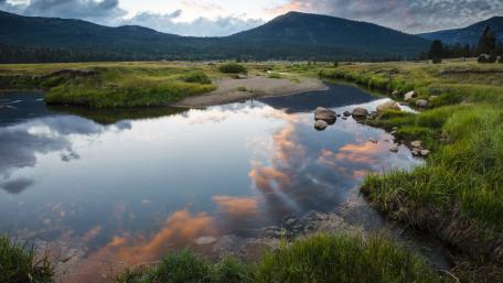 Serene Reflections of Nature's Beauty wallpaper
